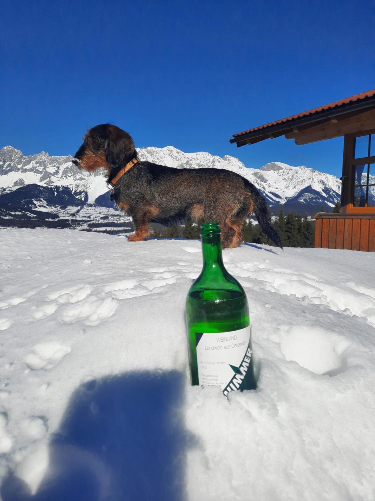 Apartament Haus Rigl Schladming Zewnętrze zdjęcie