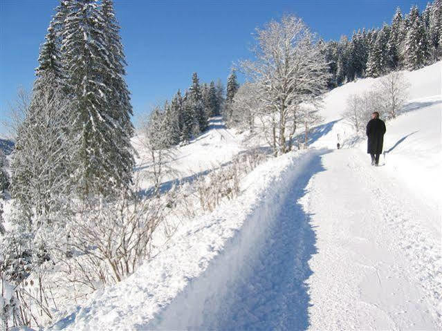 Apartament Haus Rigl Schladming Zewnętrze zdjęcie